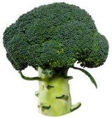 brocoli_0