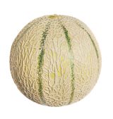 cantalupo