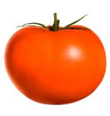tomate_0