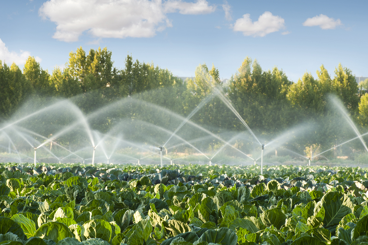 segunda mano Democracia fricción Consejos para un uso sostenible del agua en la agricultura - Unexport
