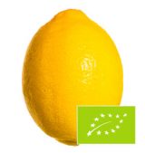 limon-exterior-eco2