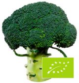 brocoli-exterior-eco