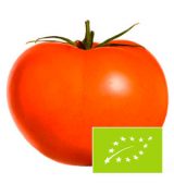 tomate-suelto-exterior-eco